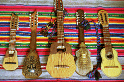 Several Charangos